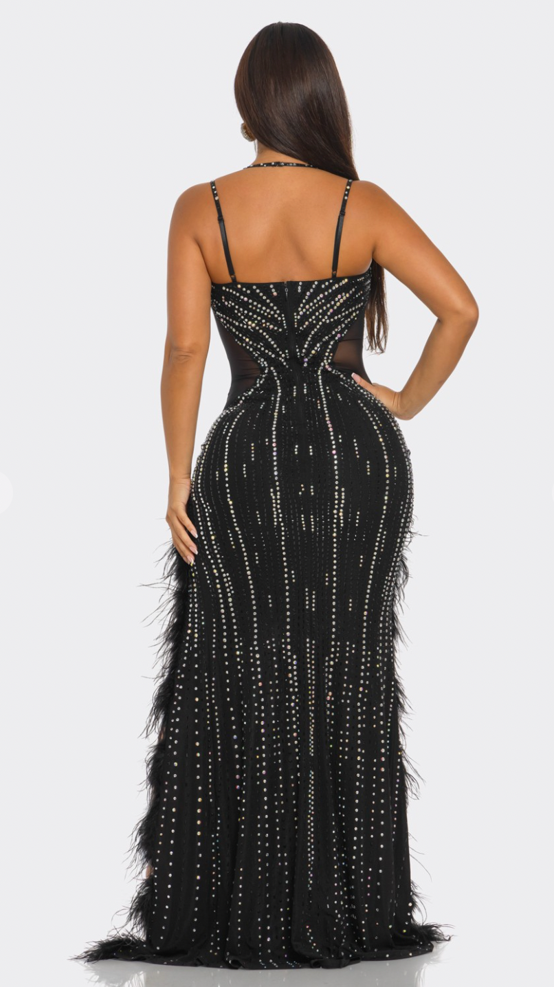 RHINESTONE EMBELLSHED FEATHER-TRIMMED MAXI DRESS Chic by Taj