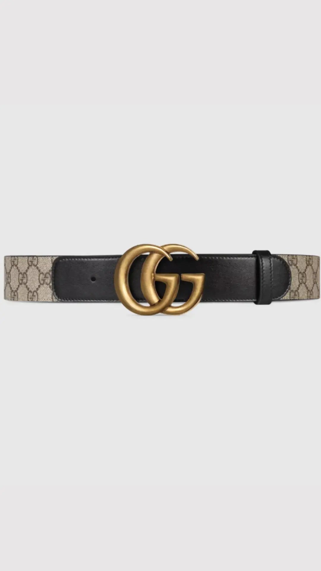 TAJ GGLOGO BELT - Chic by Taj